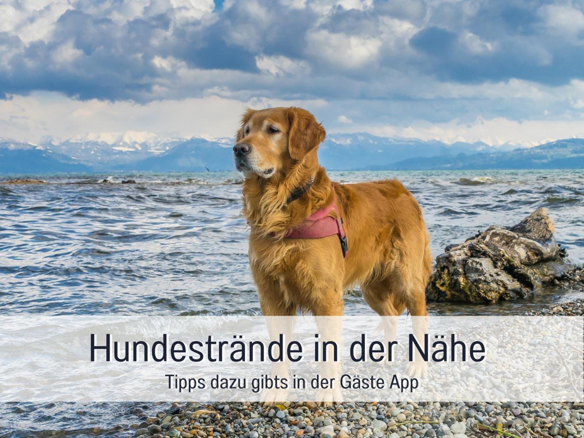 Sonnenterrasse - 3 Schlafzimmer, Whirlpool & Alpenblick - Perfekt Fuer Romantik Oder Familienurlaub Mit Kind , Hund Willkommen By Ferienwohnenamsee - 위버링겐 외부 사진