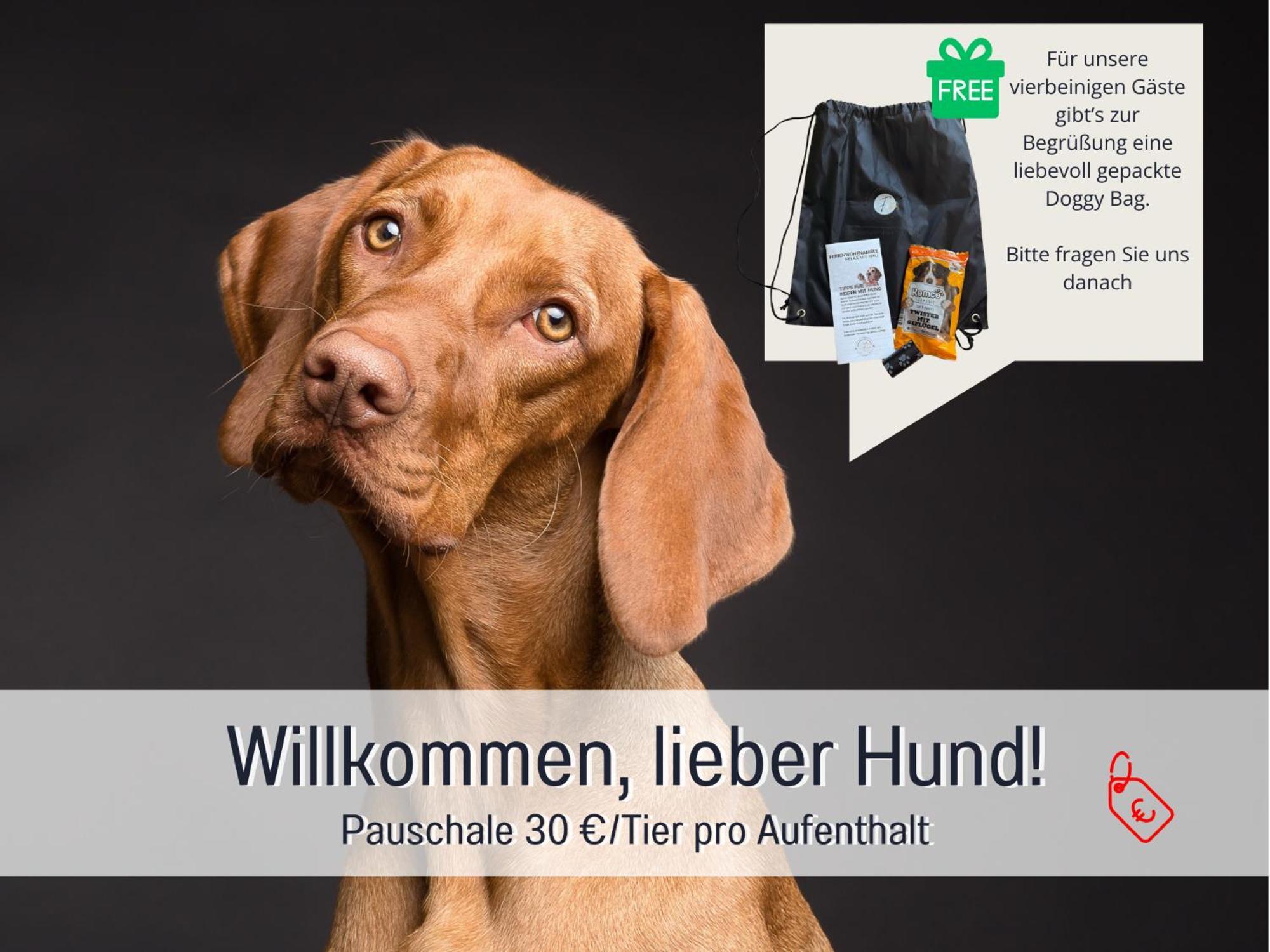 Sonnenterrasse - 3 Schlafzimmer, Whirlpool & Alpenblick - Perfekt Fuer Romantik Oder Familienurlaub Mit Kind , Hund Willkommen By Ferienwohnenamsee - 위버링겐 외부 사진